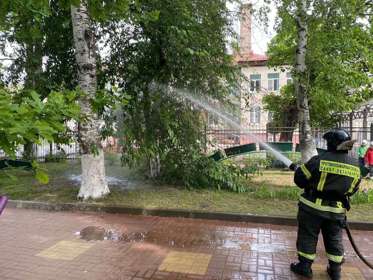 Питерские новости